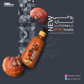 شامپو حاوی عصاره قارچ گانودرما روزانه ۳۵۰ میل