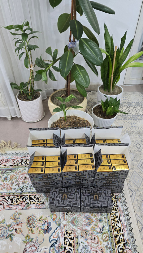 پنکک لاکچری کوین شماره ۱۰۴